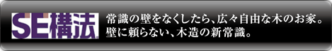 SEˡ